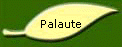 Palaute